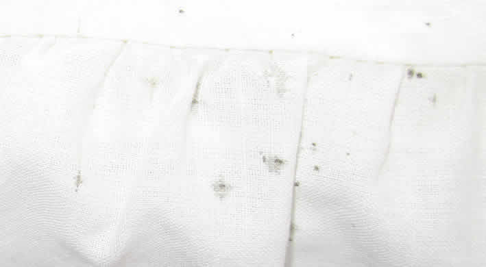 bed bug droppings on bed sheets