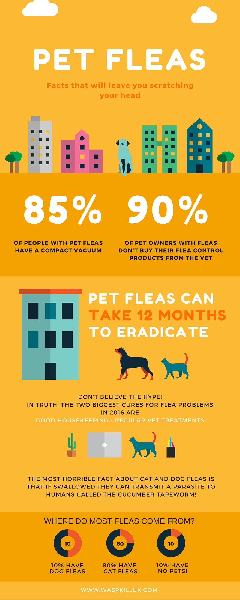 flea control infographic