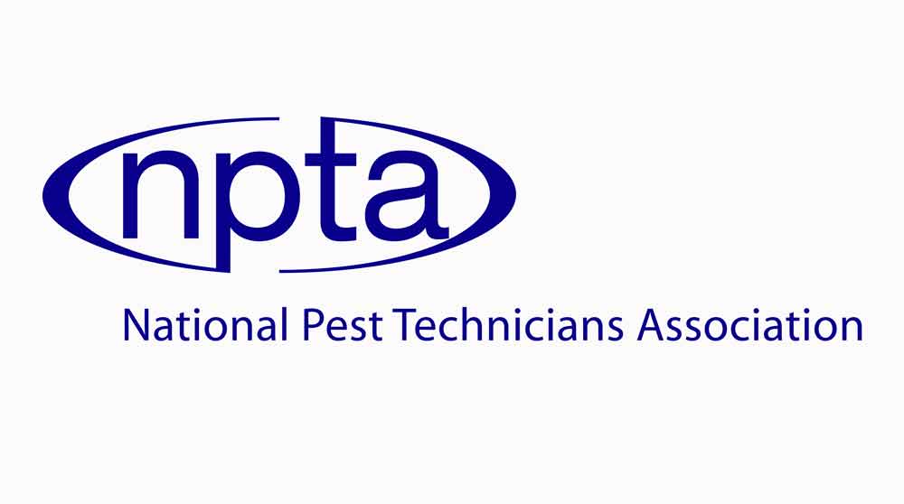 pest control bristol